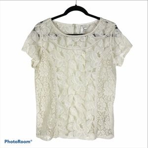 Lauren Conrad Cream Lace Short Sleeve Blou…